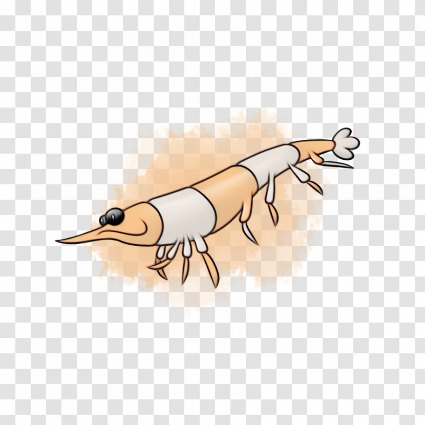 Cartoon Insect Drawing - Watercolor Transparent PNG