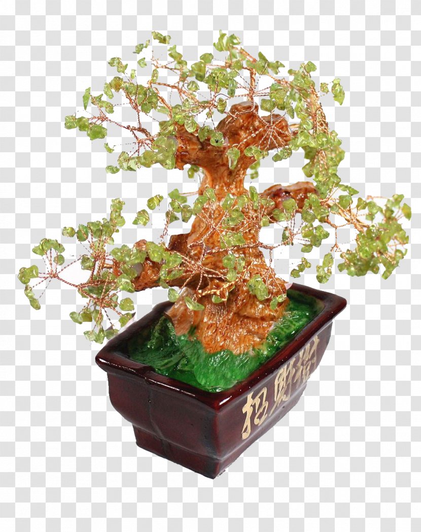 Sageretia Theezans Bonsai Tree Flowerpot - Lucky Free To Pull Material Transparent PNG