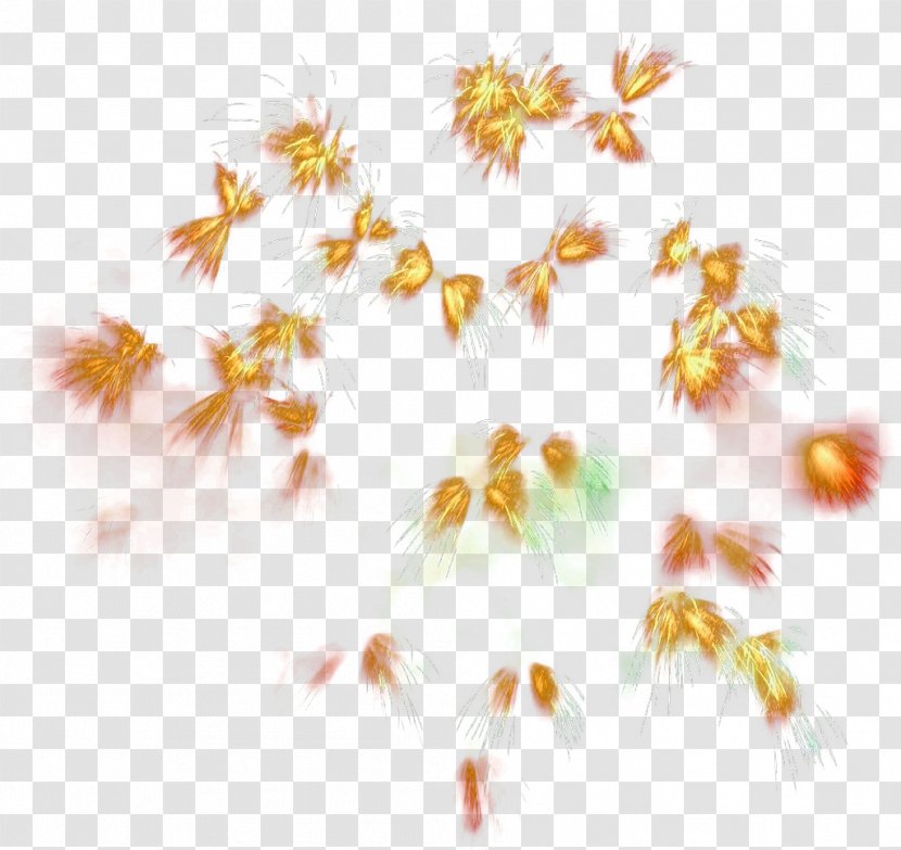 Petal Flora Yellow Pattern - Golden Fireworks Burst Open Transparent PNG