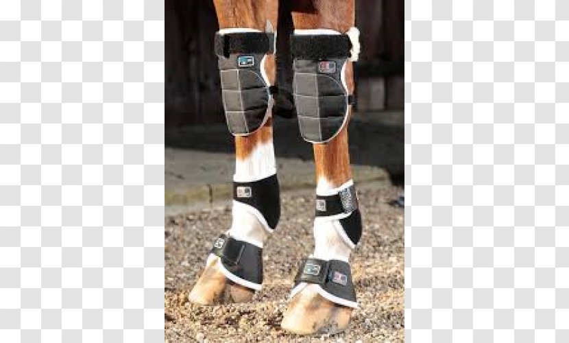 Horse Knee-high Boot Ankle - Heart Transparent PNG