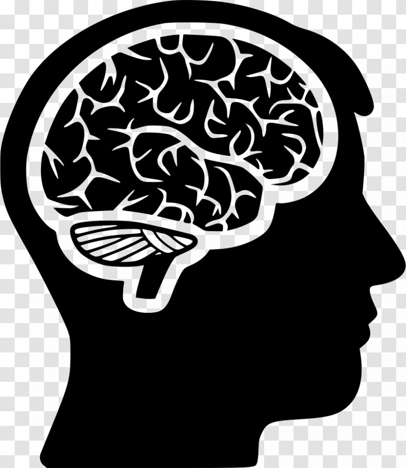 Brain Human Head - Flower - Brains Transparent PNG