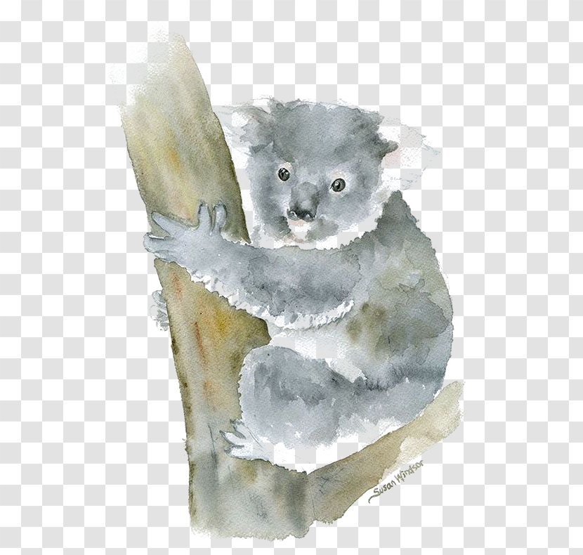 Koala Watercolor Painting Art Transparent PNG