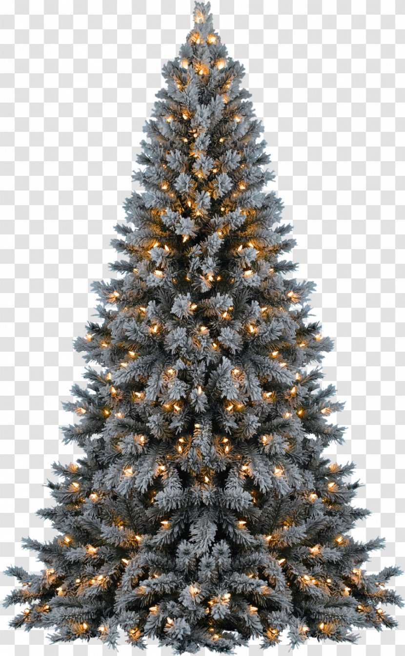 Christmas Tree - Ornament - Transparent Transparent PNG