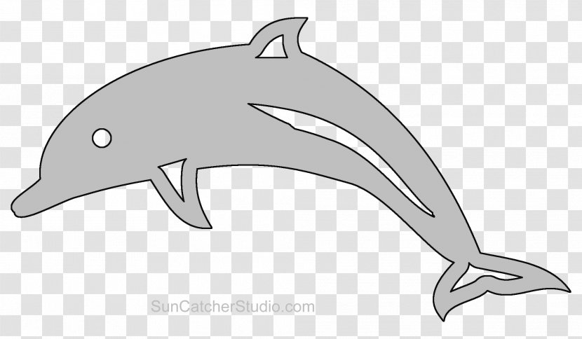 Common Bottlenose Dolphin Tucuxi Rough-toothed Short-beaked White-beaked - Tree Transparent PNG