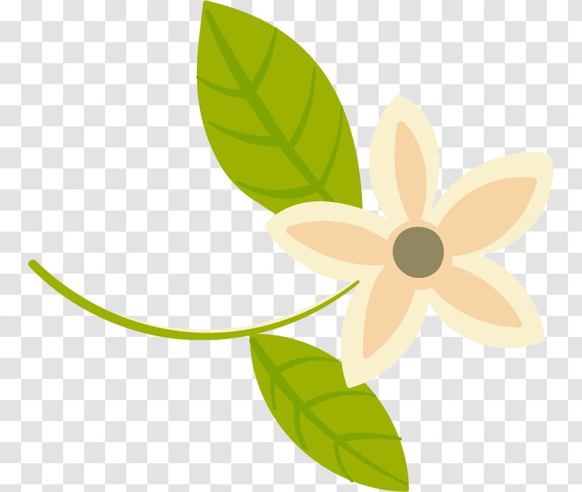 Petal Clip Art Product Design Leaf Flowering Plant - Banner Psd Transparent PNG