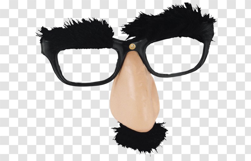 Glasses Eyebrow Nose Facial Hair - Head Transparent PNG