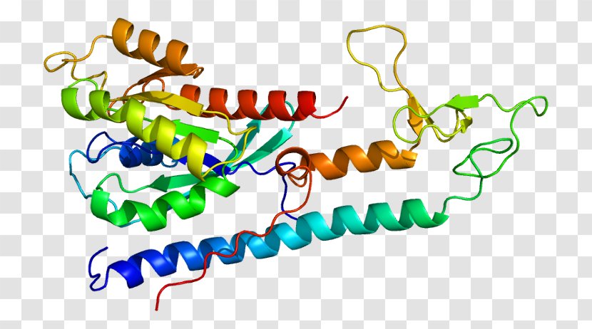 RPH3A RAB3A Protein RIMS1 - Rab - Organism Transparent PNG