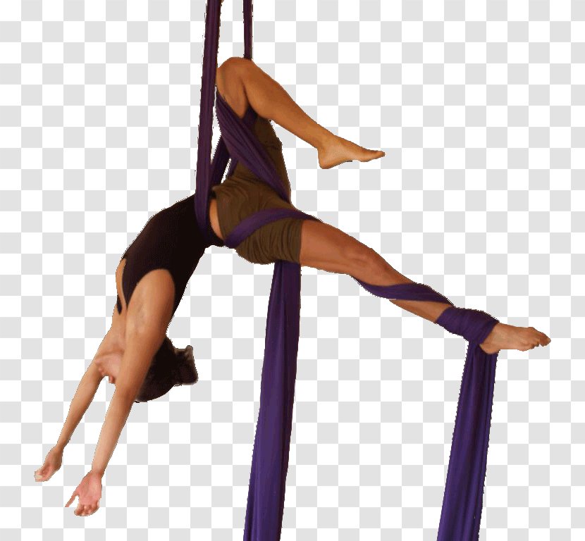 Contemporary Dance Art Belly Aerial - Tree - Energy Transparent PNG