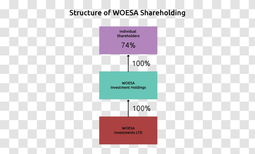 Business Women In Oil And Energy South Africa King Report On Corporate Governance Holding Company - Diagram Transparent PNG