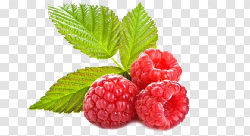 Indian Food - Berry - Flower Tayberry Transparent PNG