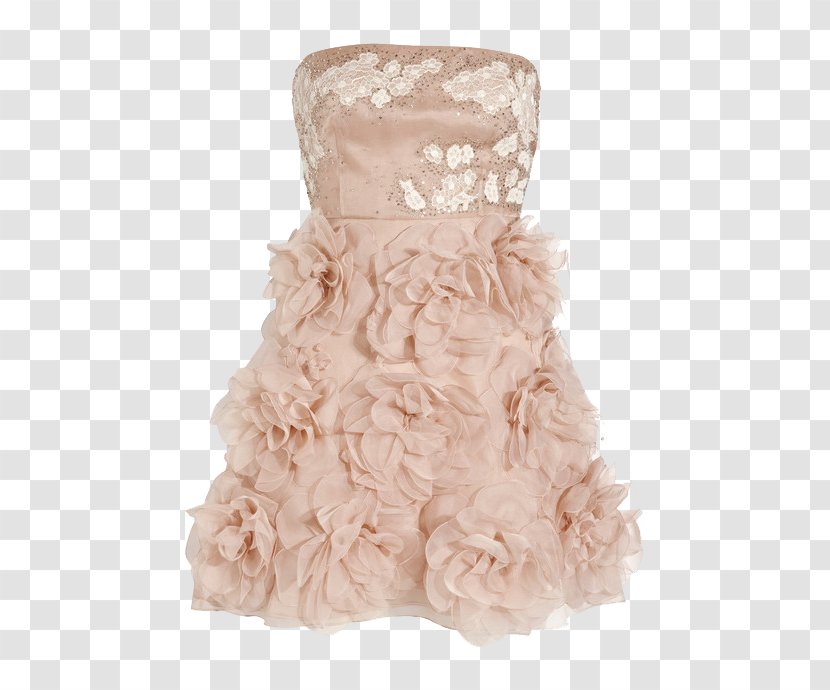 Dress Gown Prom Party Wedding - Fur - Short Transparent PNG