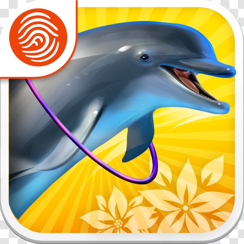 Common Bottlenose Dolphin Tucuxi Wholphin Paradise - Marine Mammal - Cartoon Transparent PNG