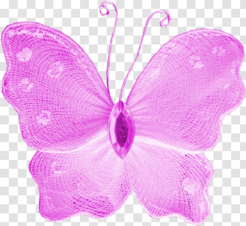 Butterfly Insect Lavender Lilac Violet Transparent PNG