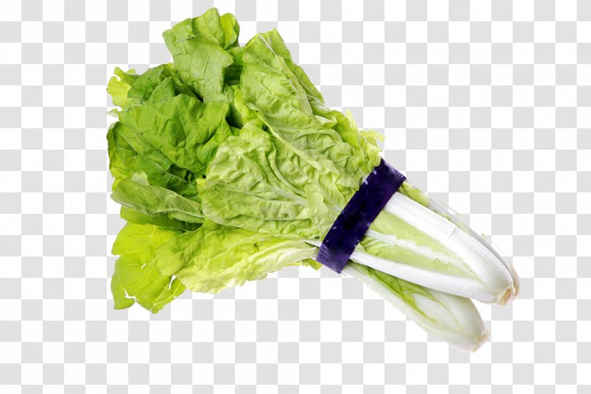 Romaine Lettuce Chinese Cabbage Vegetarian Cuisine - Water Image Transparent PNG