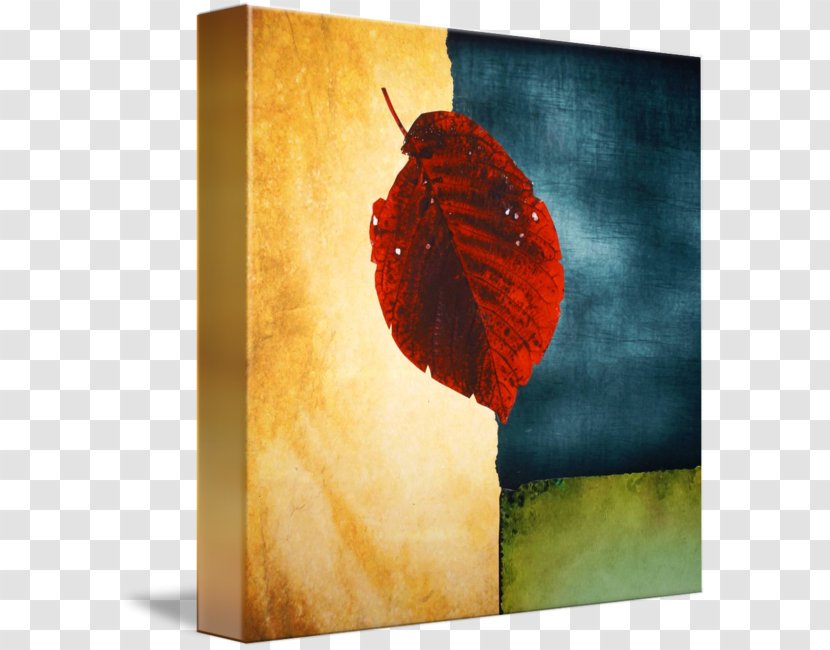 Painting Acrylic Paint Gallery Wrap Art Picture Frames - Color Block Transparent PNG