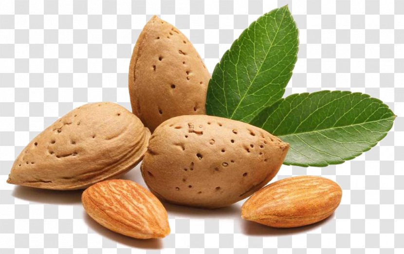 Nut Raw Foodism Almond Agriculture - Material - Transparent Image Transparent PNG