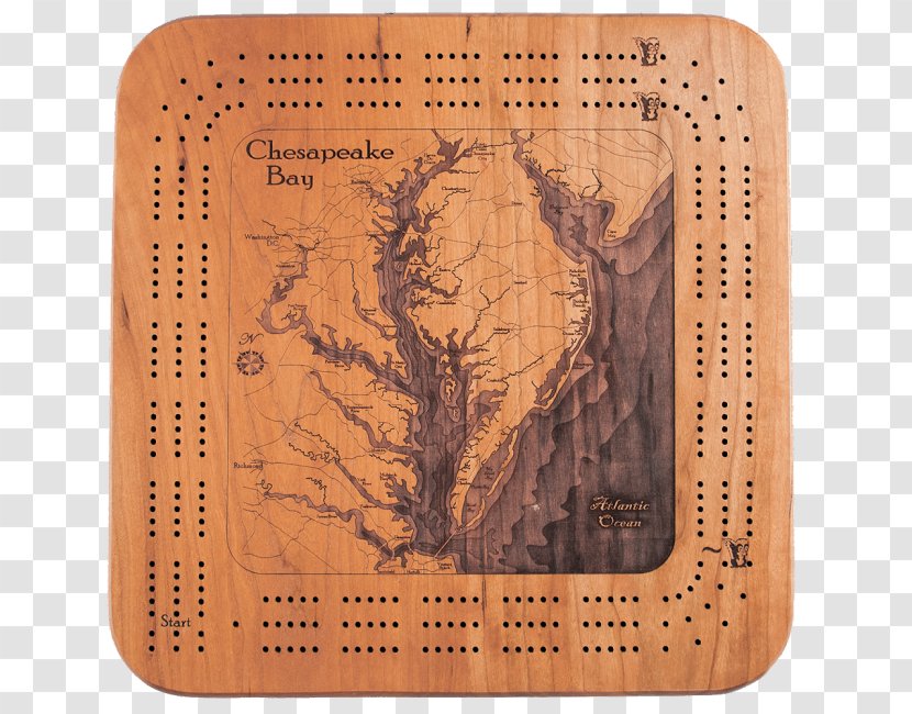 Chesapeake Bay Wood Tree /m/083vt - Nautical Map Transparent PNG