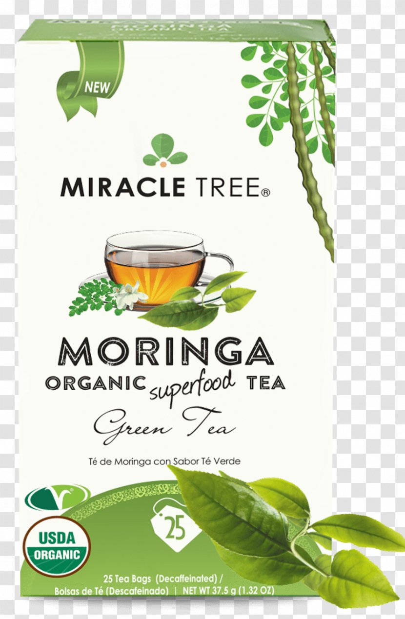 Green Tea Organic Food Drumstick Tree Assam - Production In Sri Lanka Transparent PNG