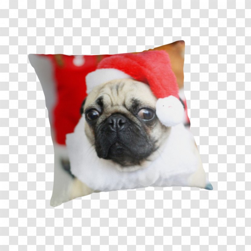 Pug Puppy Dog Breed Cushion Toy - Carnivoran Transparent PNG