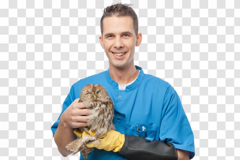 Dr. Gernot Werner-Tutschku Sattledt Veterinarian Tierisch Gut! Clinique Vétérinaire - Dentist - Menschlich Transparent PNG