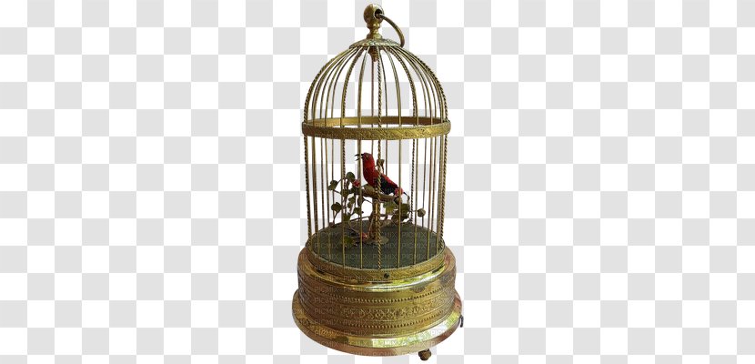 Birdcage Domestic Canary Parrot - Antique - Bird Transparent PNG