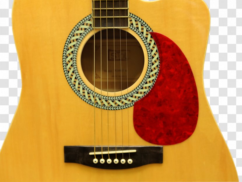 Acoustic Guitar Acoustic-electric Tiple Cavaquinho - Tree Transparent PNG