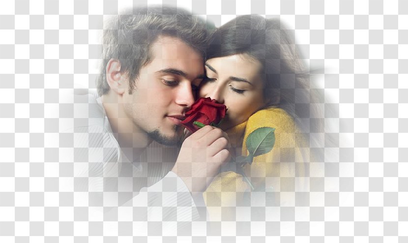 Desktop Wallpaper Love Kiss Romance - Flower Transparent PNG