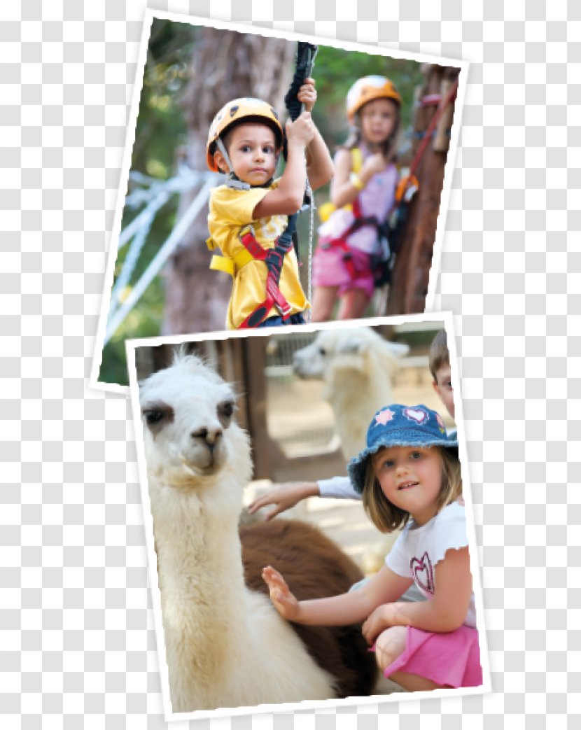 Toddler Picture Frames Leisure Vacation Collage - Child Transparent PNG