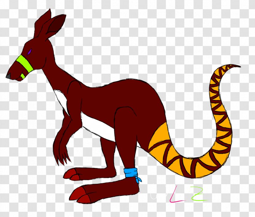 Macropodidae Kangaroo Marsupial Mammal Animal - Tail Transparent PNG