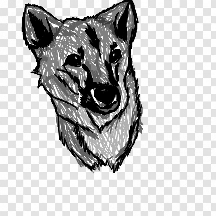 Whiskers Cat Dog Canidae Sketch - Big Transparent PNG