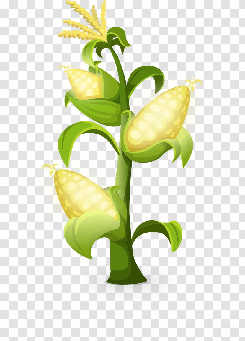 France Restaurant Maize - Corn Kernel Transparent PNG