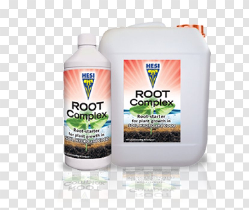 Nutrient Root Rot Hydroponics Plant Transparent PNG