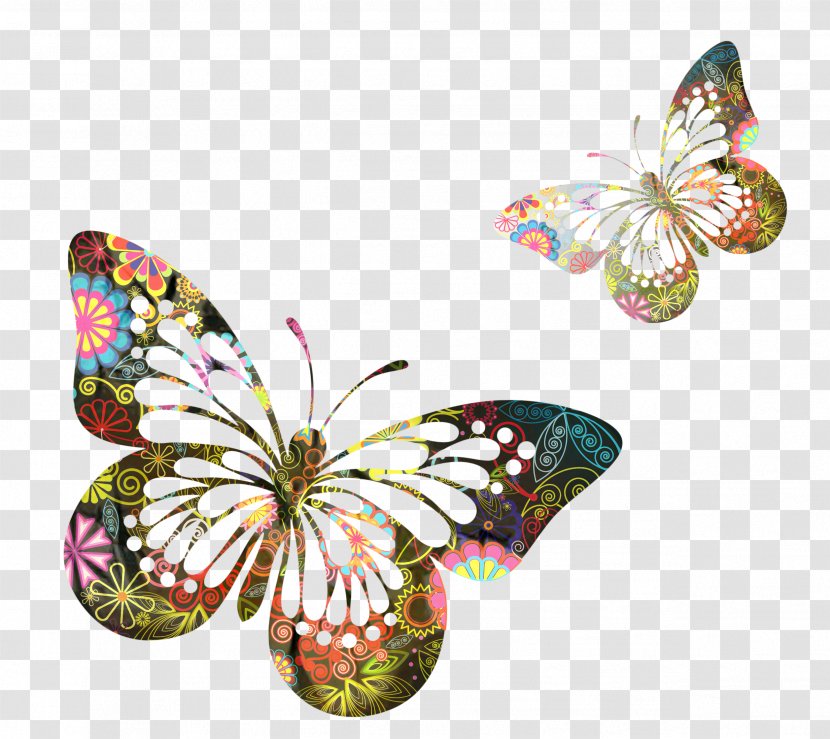 Monarch Butterfly Drawing - Brushfooted - Symmetry Wildflower Transparent PNG