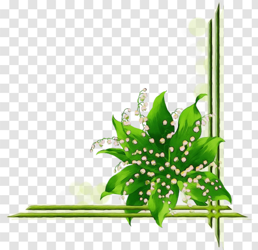 Flower Plant Stem Aquarium Decor Leaf Green Transparent PNG