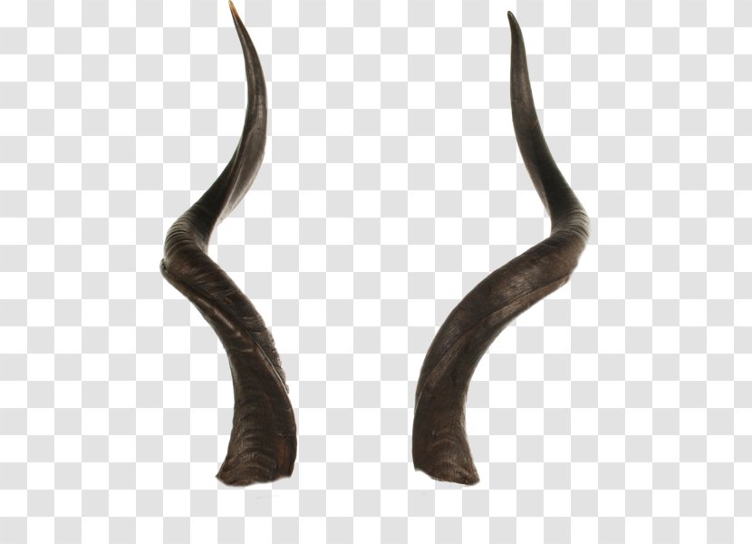 Sign Of The Horns Antler Reindeer Transparent PNG