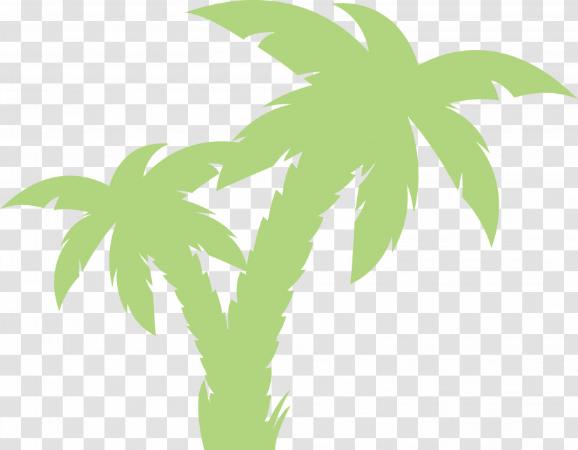 Palm Trees Transparent PNG