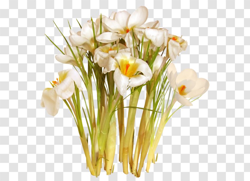 Floral Design Saffron Cut Flowers Safflower - Plant Stem - Flower Transparent PNG