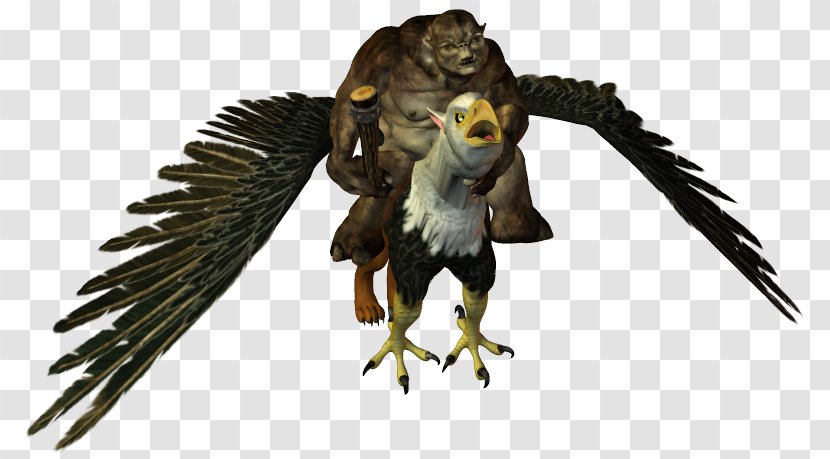 Owl Hawk Fauna Eagle Beak - Fantasy Troll Transparent PNG