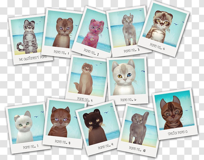 Material Picture Frames Animal - Tecup Kitten Transparent PNG