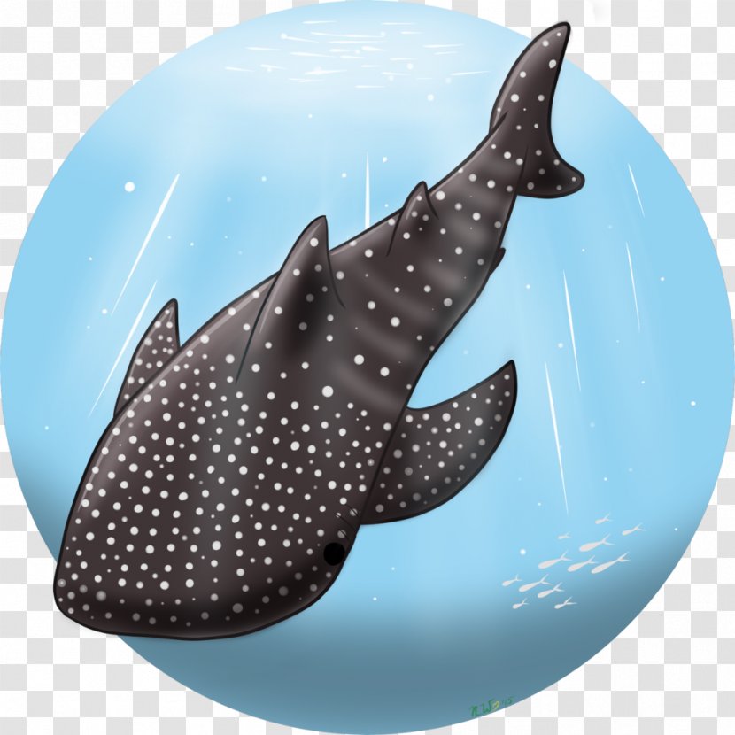 Shark Marine Biology Dolphin - Cartilaginous Fish Transparent PNG