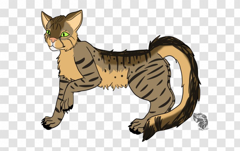 Whiskers Tiger Wildcat Mammal Transparent PNG