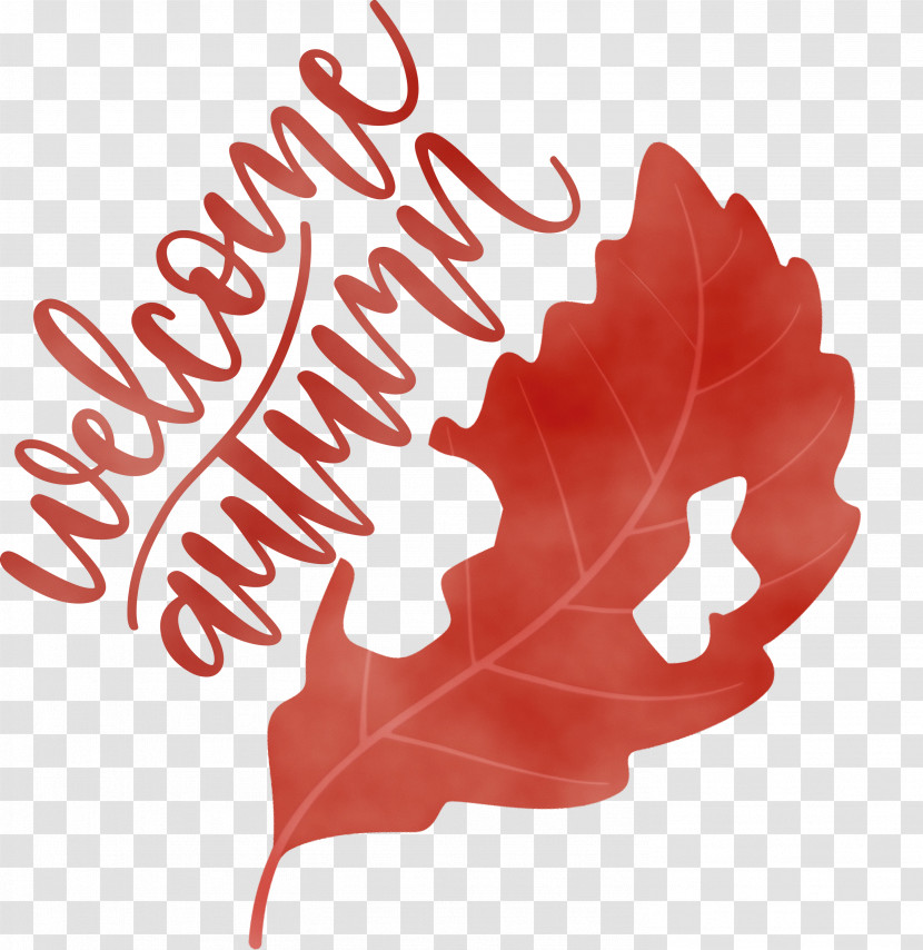 Maple Leaf Transparent PNG