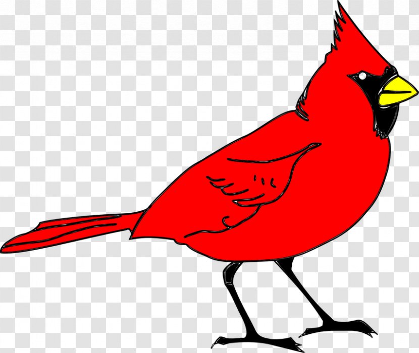 Northern Cardinal St. Louis Cardinals Clip Art - Wing Transparent PNG