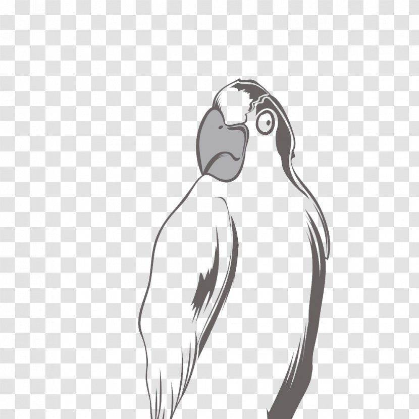 Parrot Black And White T-shirt Transparent PNG