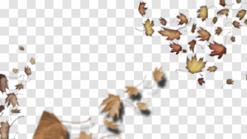 Loose Leaves By Lesley Clargo Honey Bee Insect Illustration Transparent PNG