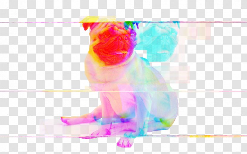 Pocket Air Hockey Pug Glitch Static - Reserved Word - Transparent Transparent PNG