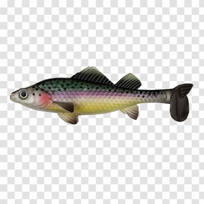 Salmon 09777 Trout Herring - Gummifisch Transparent PNG