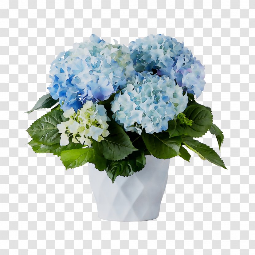 Hydrangea Floral Design Cut Flowers Flower Bouquet - Houseplant Transparent PNG