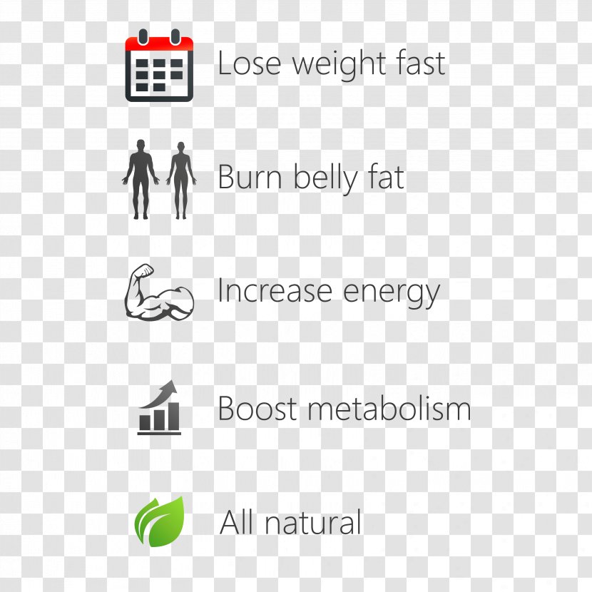 Fat Ingredient Tea Document Zest - Green - Reduce Transparent PNG