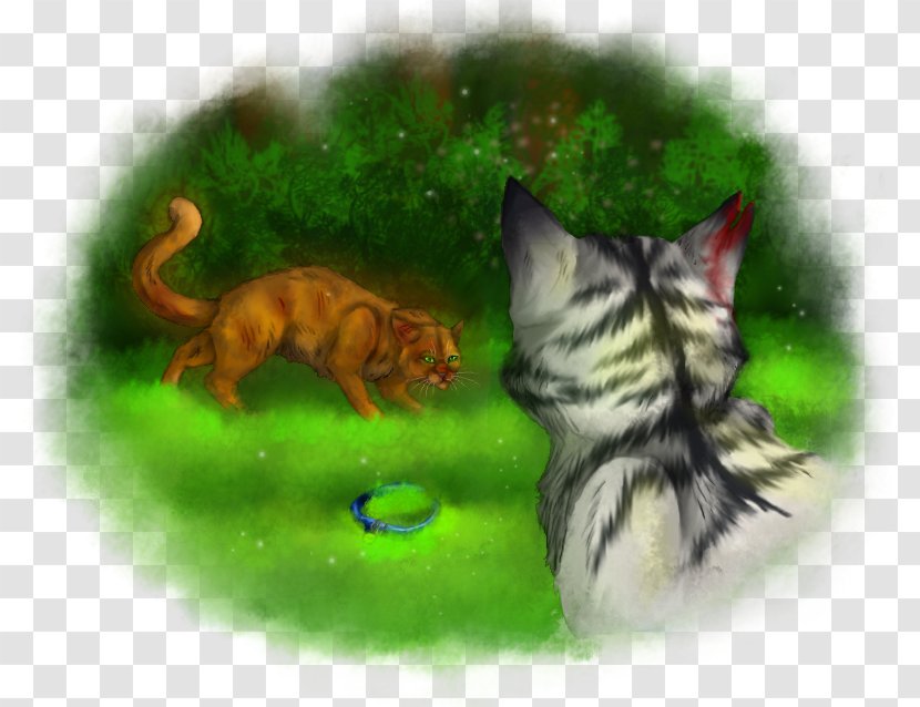 Whiskers Kitten Tabby Cat Tail - Carnivoran Transparent PNG